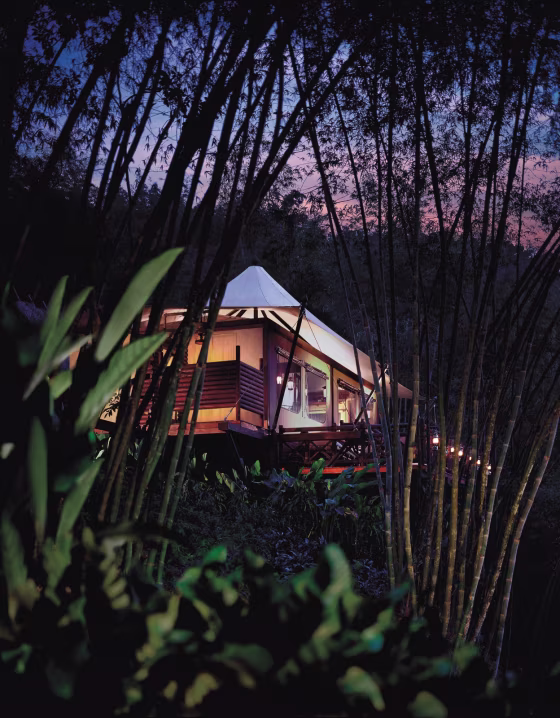 “Guests can hear the sound of elephants munching their way through the jungle. It’s escapism to the nth degree,” says designer Bill Bensley of the tents at the Four Seasons Tented Camp, in Thailand’s Golden Triangle. 